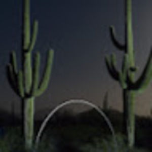 Meet your Posher, Augustina